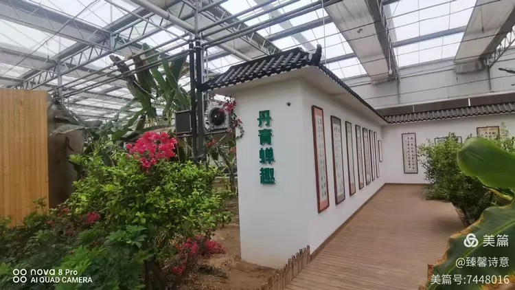 河北省故城县以岭康养庄园之中国金蝉文化馆